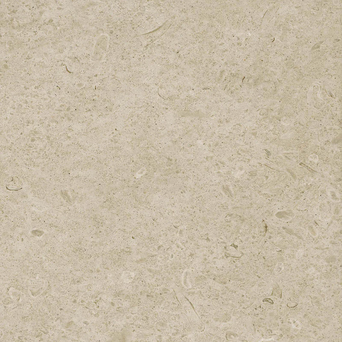 Caracter Greige 60X60 M97H