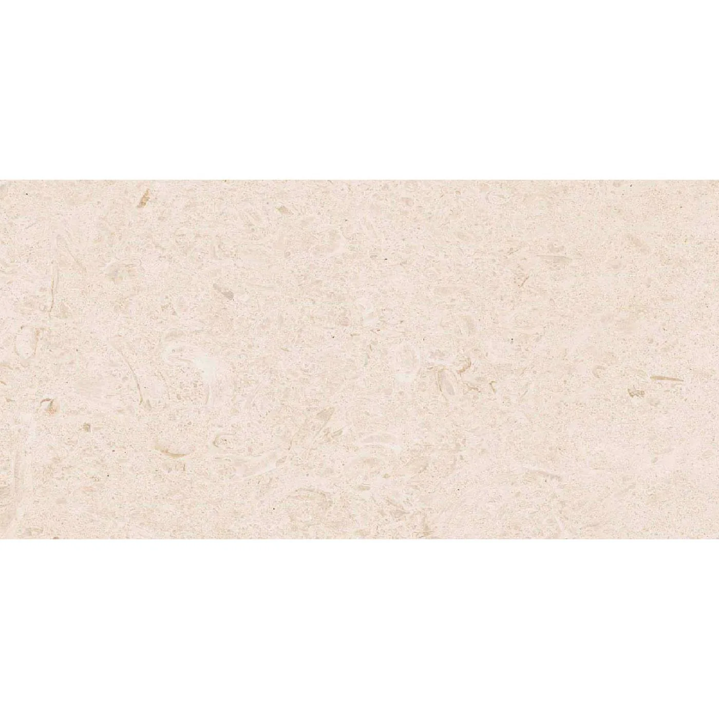 Caracter Blanco 30X60 M97N