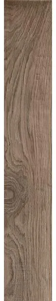 Actually Taupe 14.5X90 MC4Y