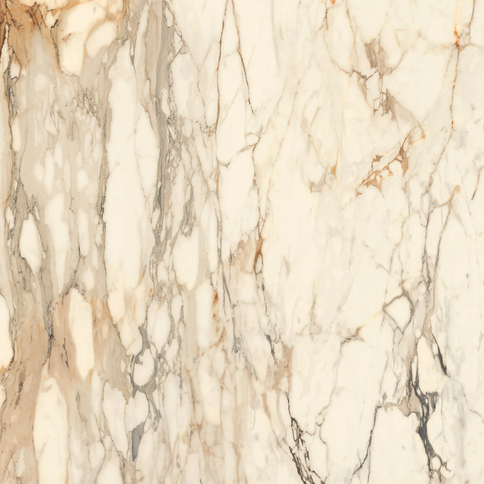 Grande Marble Look 120x120 Calacatta Vena Vecchia MEMH