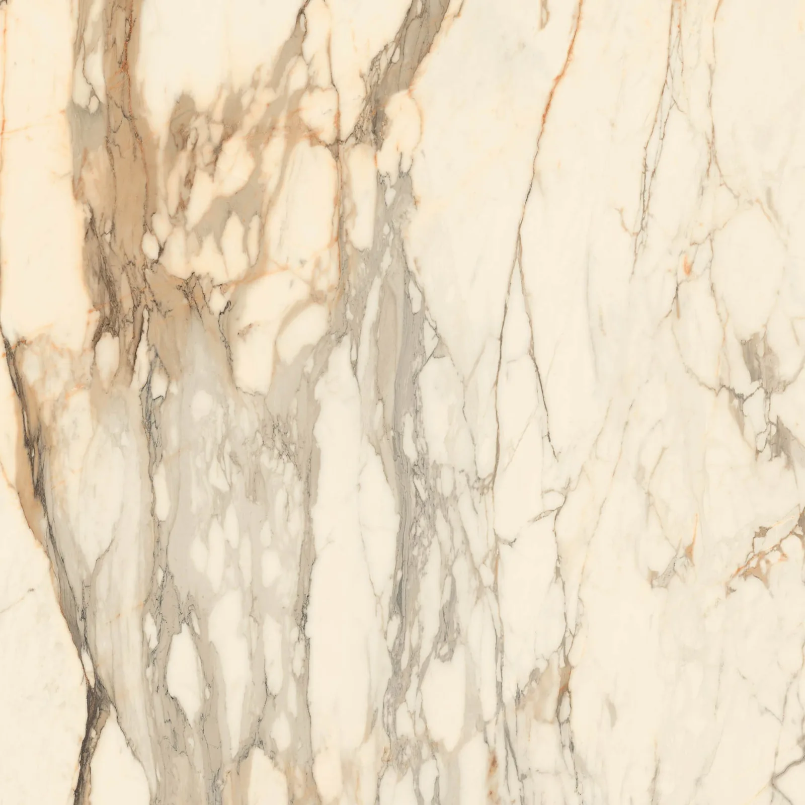 Grande Marble Look 120x120 Calacatta Vena Vecchia MEMH