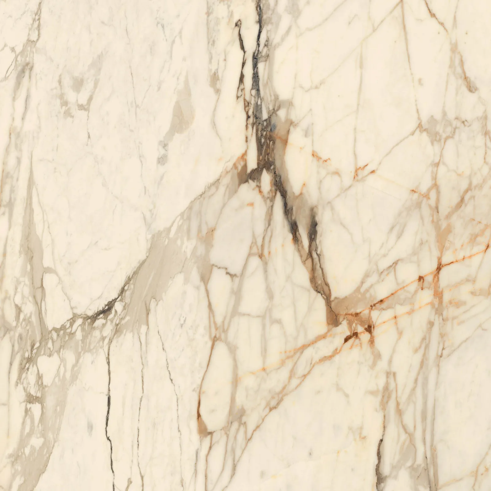 Grande Marble Look 120x120 Calacatta Vena Vecchia MEMH