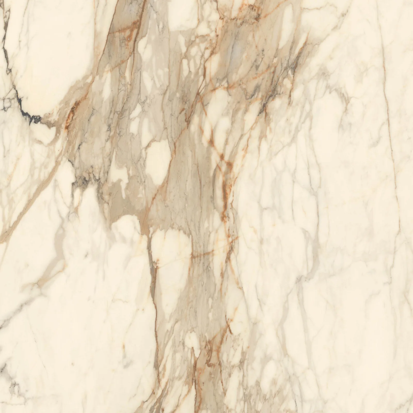 Grande Marble Look 120x120 Calacatta Vena Vecchia MEMH
