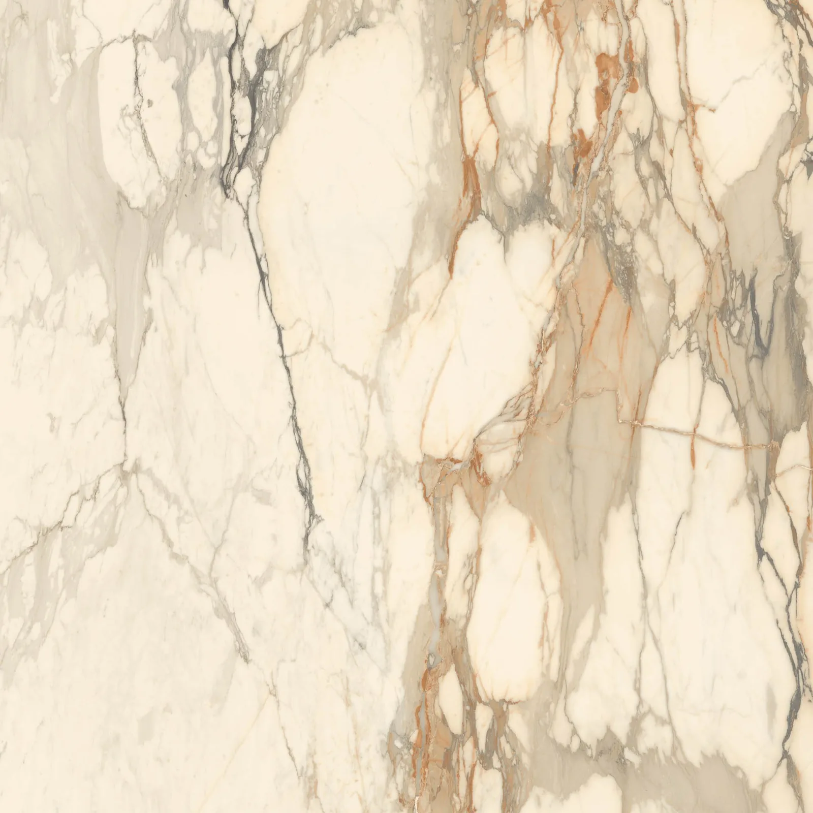 Grande Marble Look 120x120 Calacatta Vena Vecchia MEMH