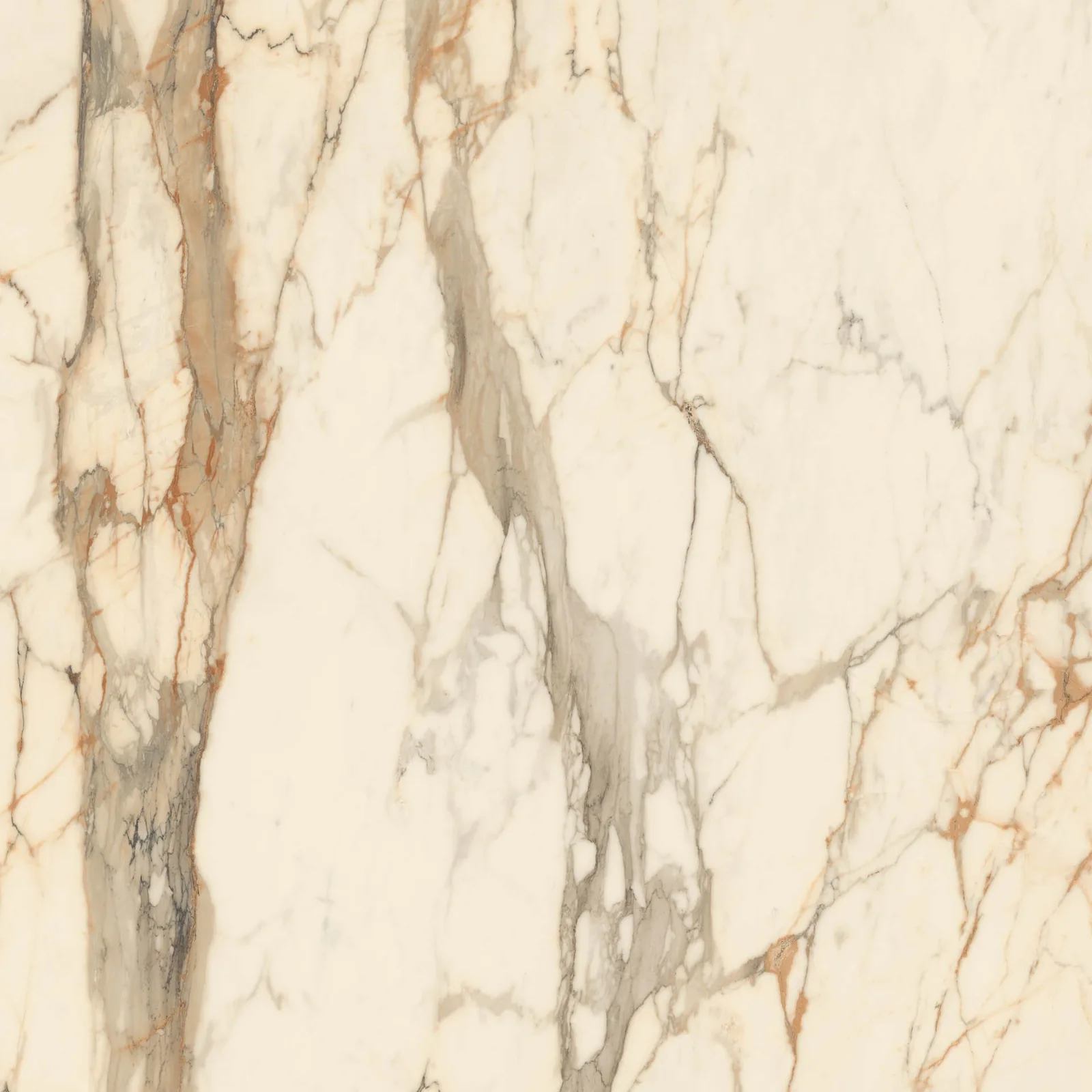 Grande Marble Look 120x120 Calacatta Vena Vecchia MEMH