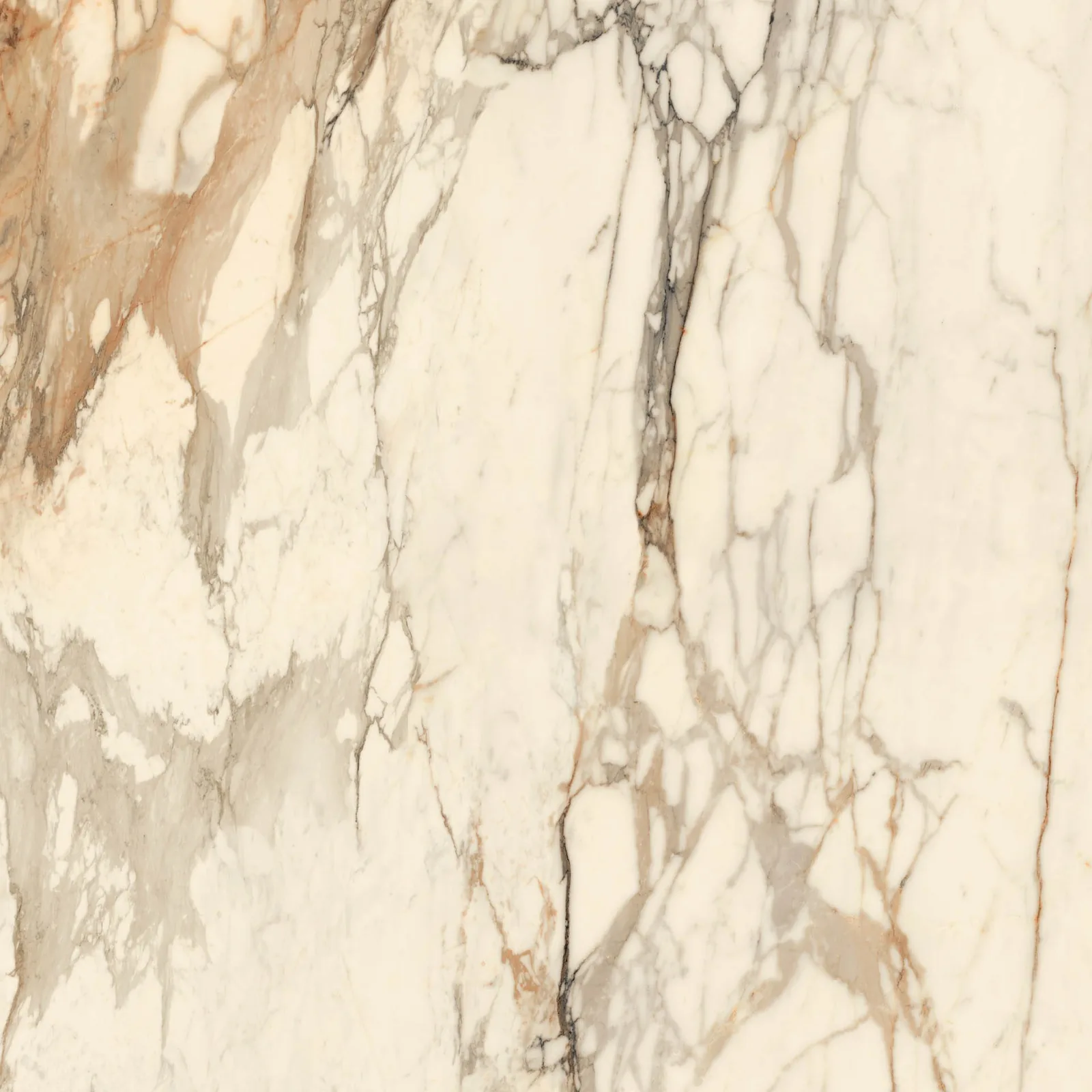Grande Marble Look 120x120 Calacatta Vena Vecchia MEMH
