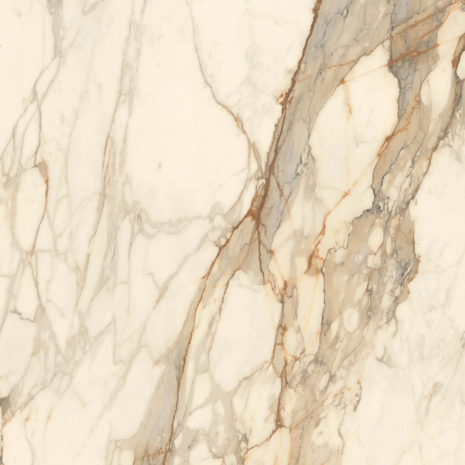 Grande Marble Look 120x120 Calacatta Vena Vecchia MEMH