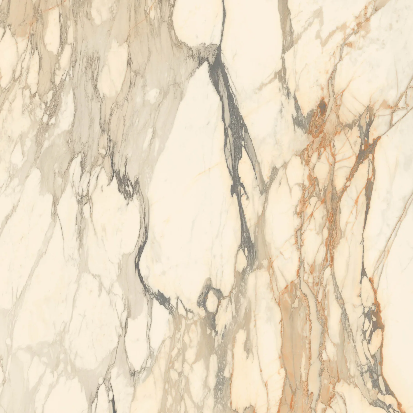 Grande Marble Look 120x120 Calacatta Vena Vecchia MEMH