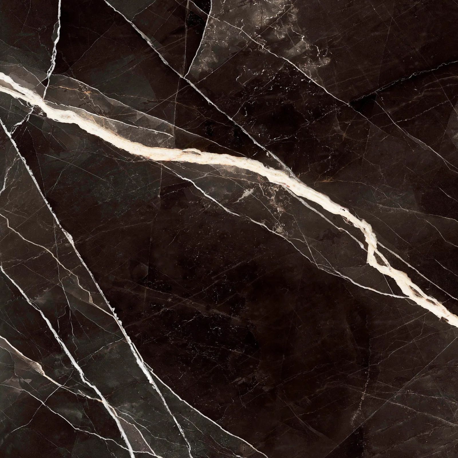 Grande Marble Look 120x120 Calacatta Black MEMT