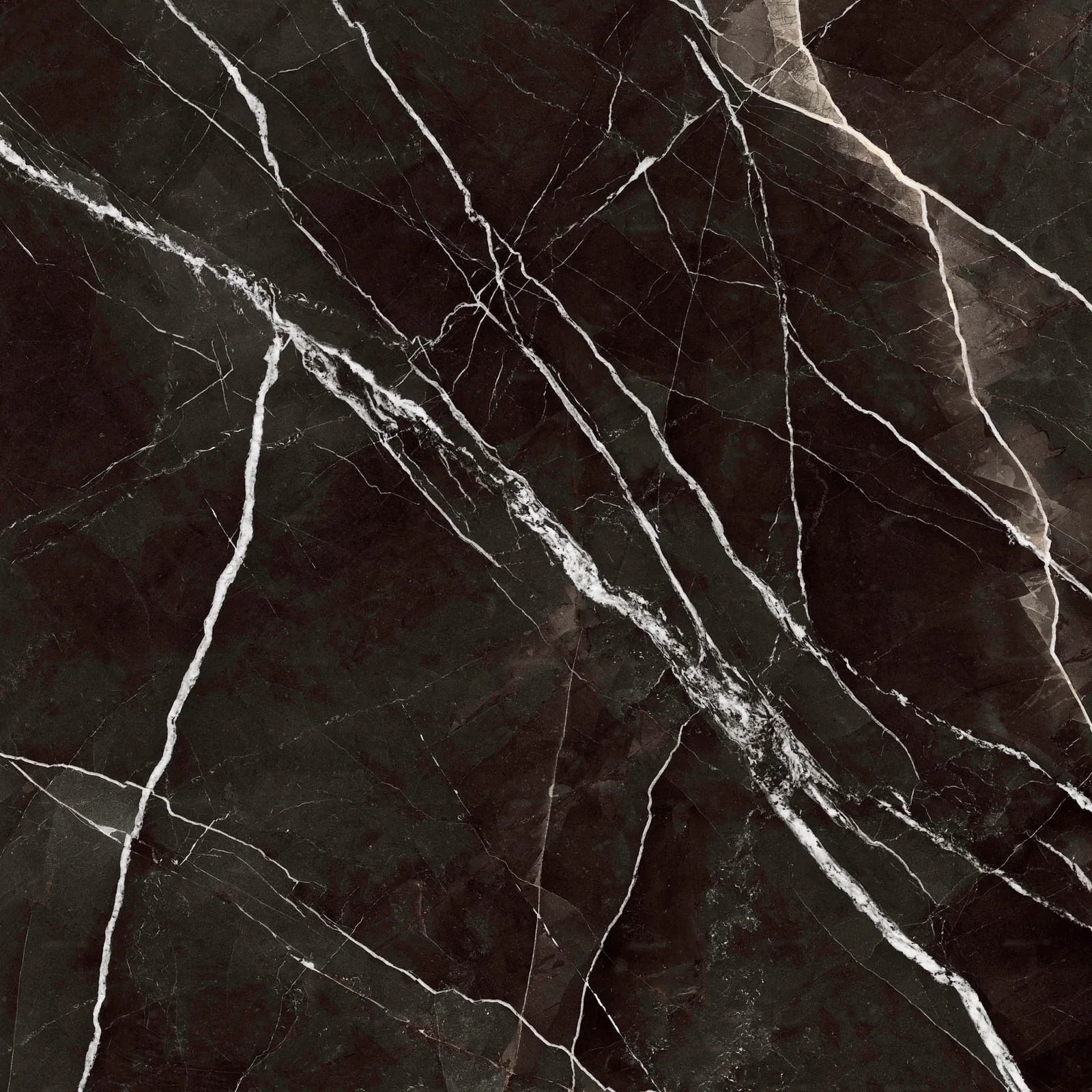 Grande Marble Look 120x120 Calacatta Black MEMT