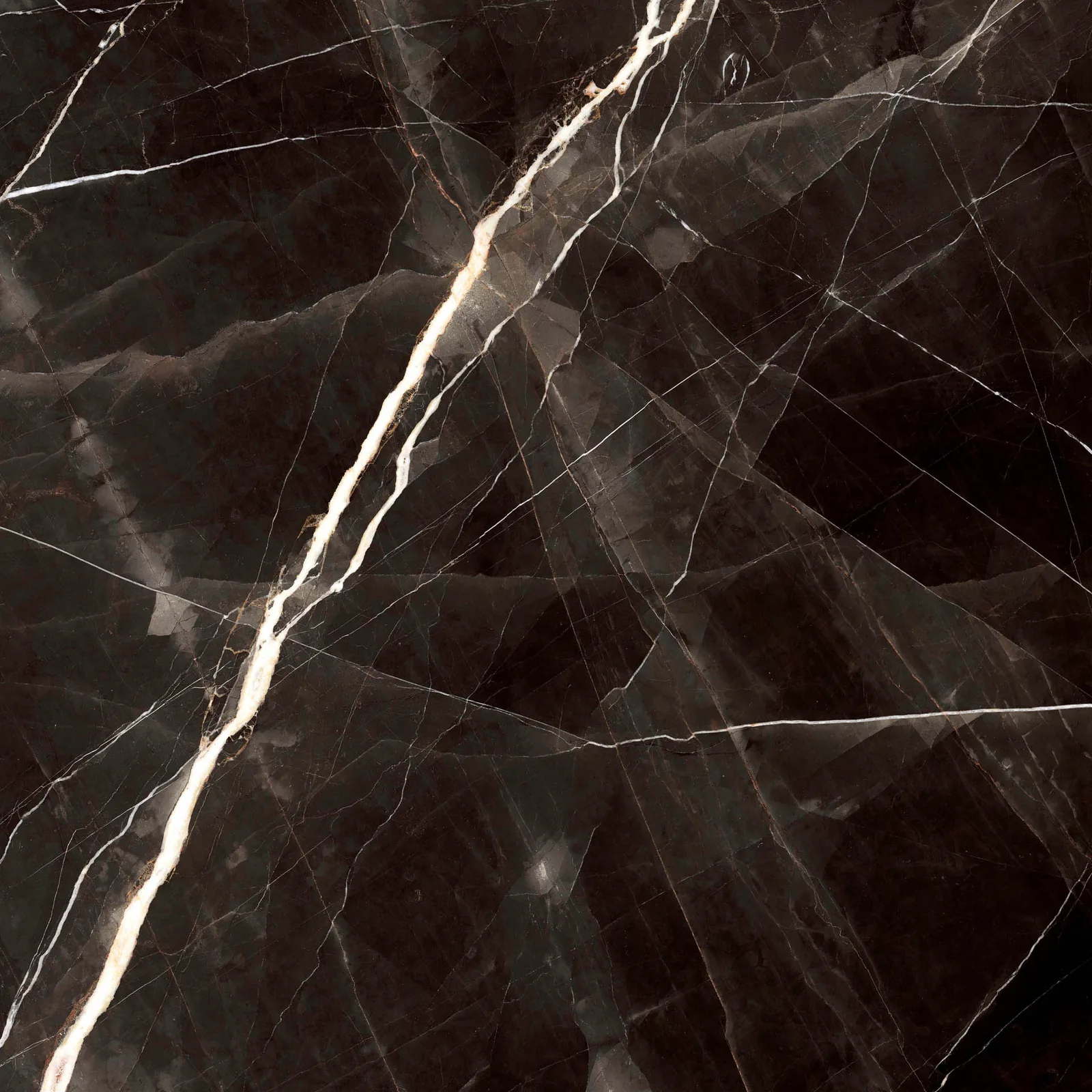 Grande Marble Look 120x120 Calacatta Black MEMT