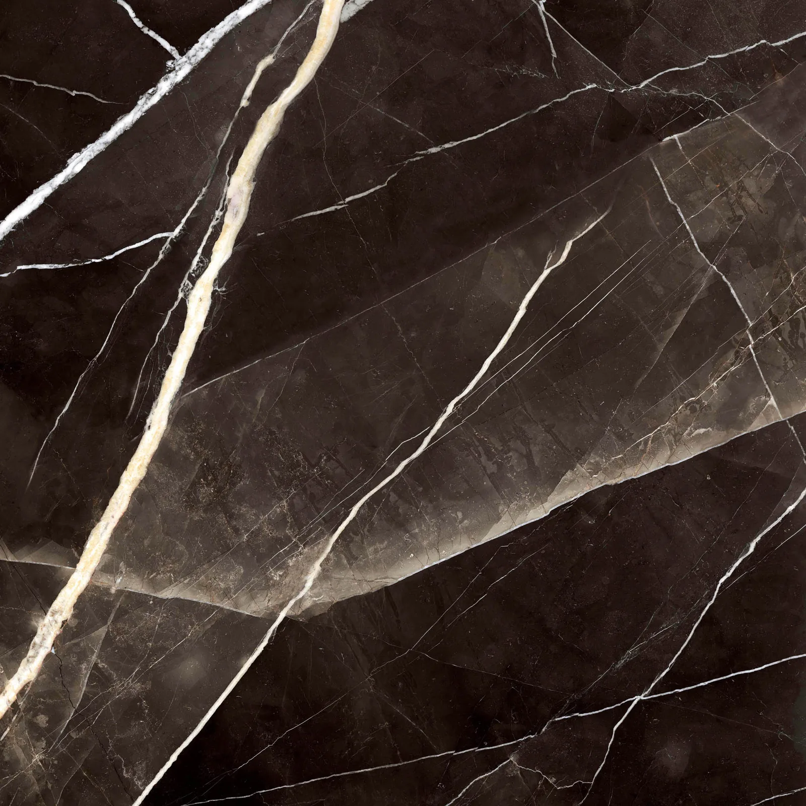 Grande Marble Look 120x120 Calacatta Black MEMT