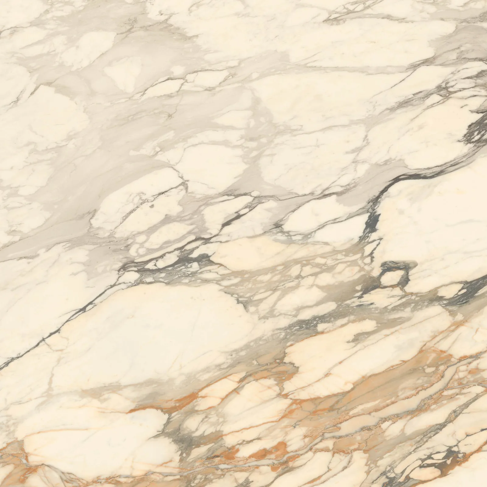 Grande Marble Look 120x120 Calacatta Vena Vecchia lux MEMV
