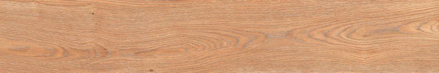 Alma Naturale 20X120 MFDA
