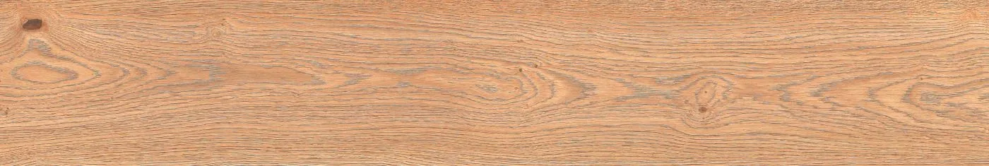 Alma Naturale 20X120 MFDA