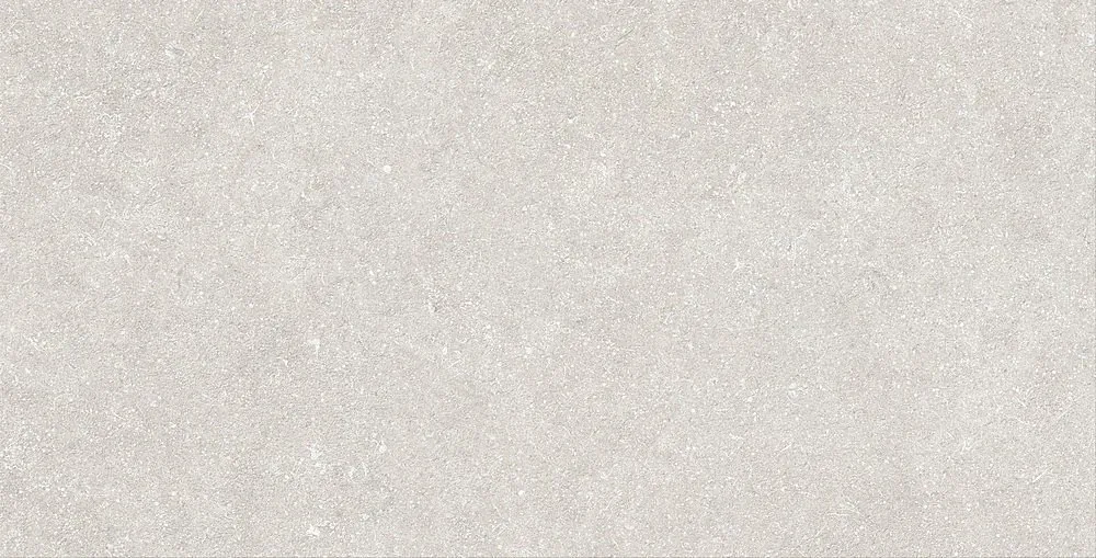 Mystone Berici Grigio 60X120 MG0G