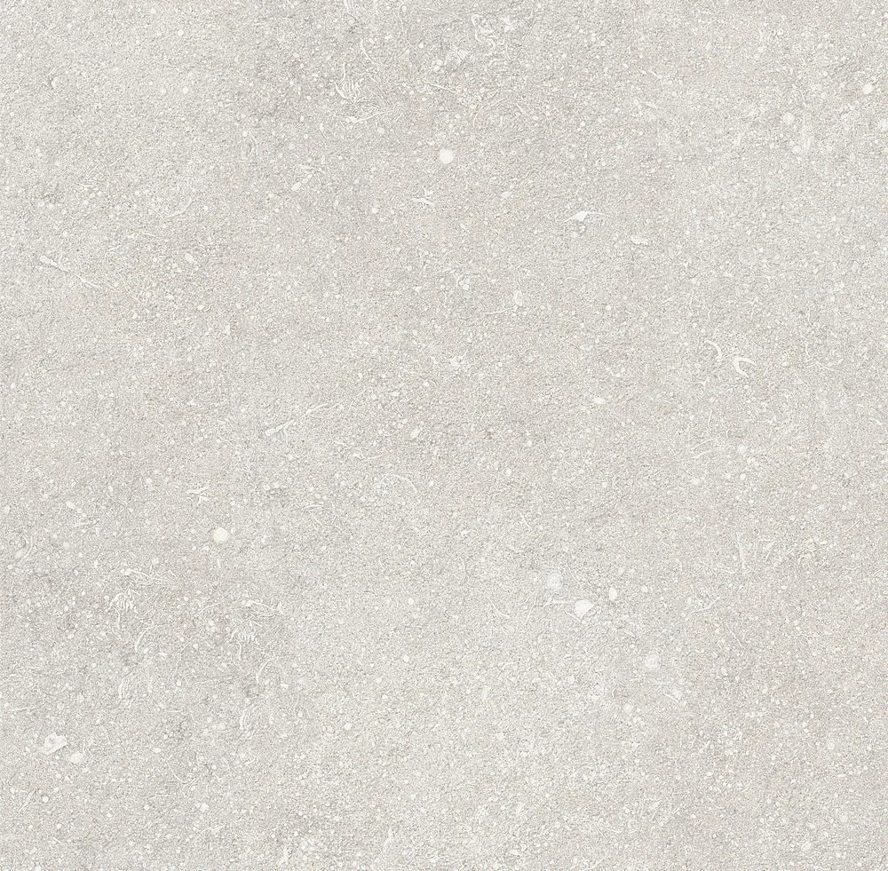 Mystone Berici Grigio 60X60 MG5S