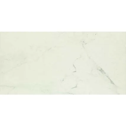 Allmarble 60x120 Allmarble Altissimo MMFC