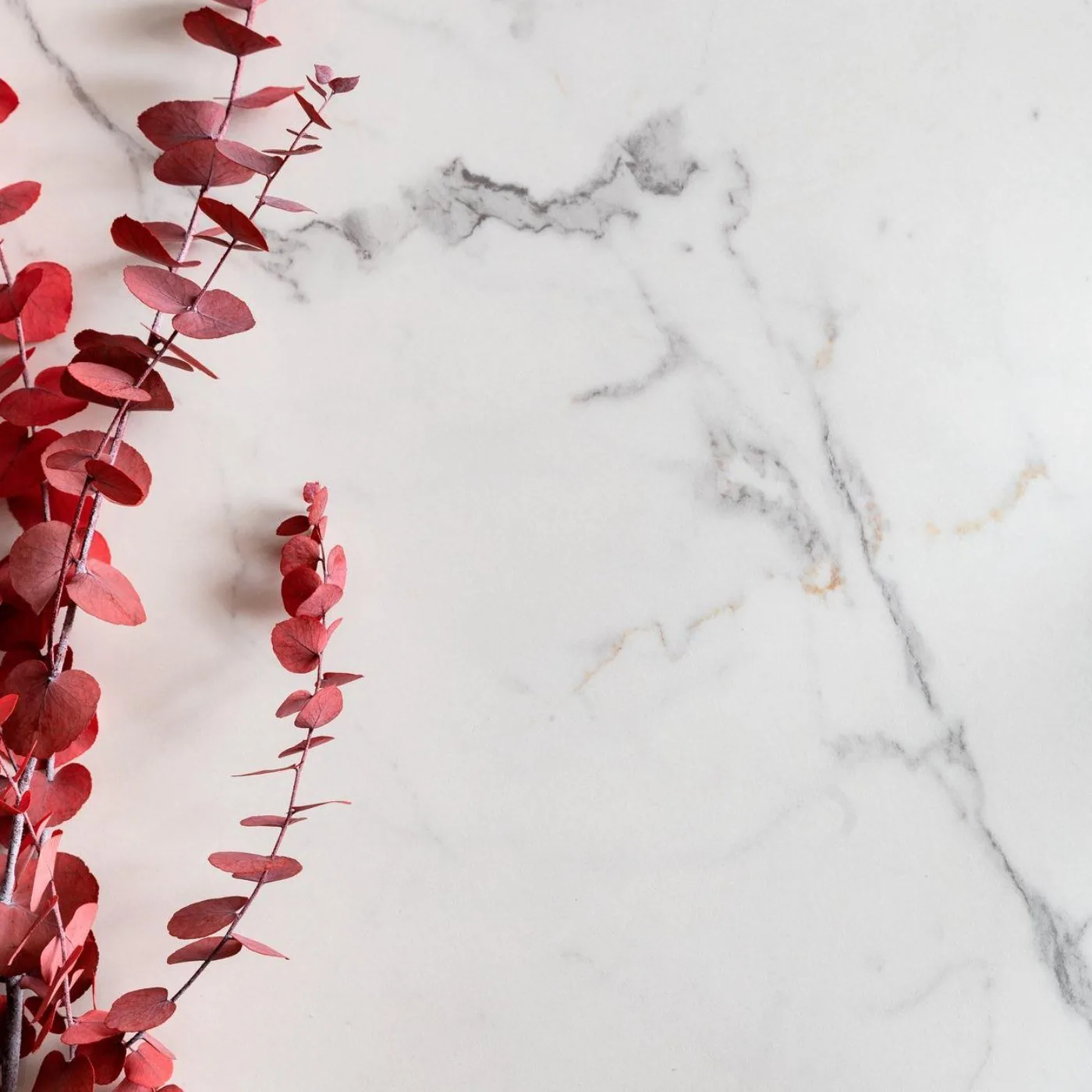 Allmarble 60X120 Allmarble Statuario MMGT