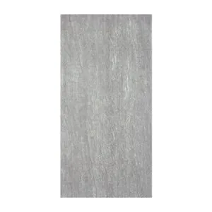Arena Toscana Grigio 120X60