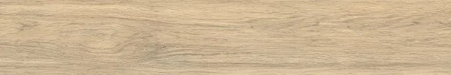 Arena Vecchio Beige 120X20