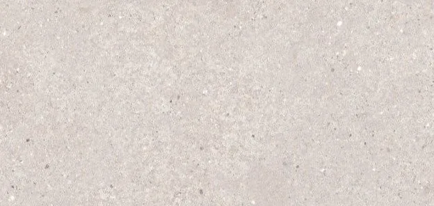 Arena Terazzo Beige 120X60