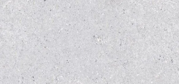 Arena Terazzo Grigio 120X60
