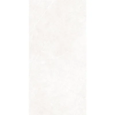 Arena Elegant ivory 60X120 1692