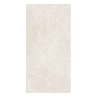 Arena Elegant taupe 60X120 1694