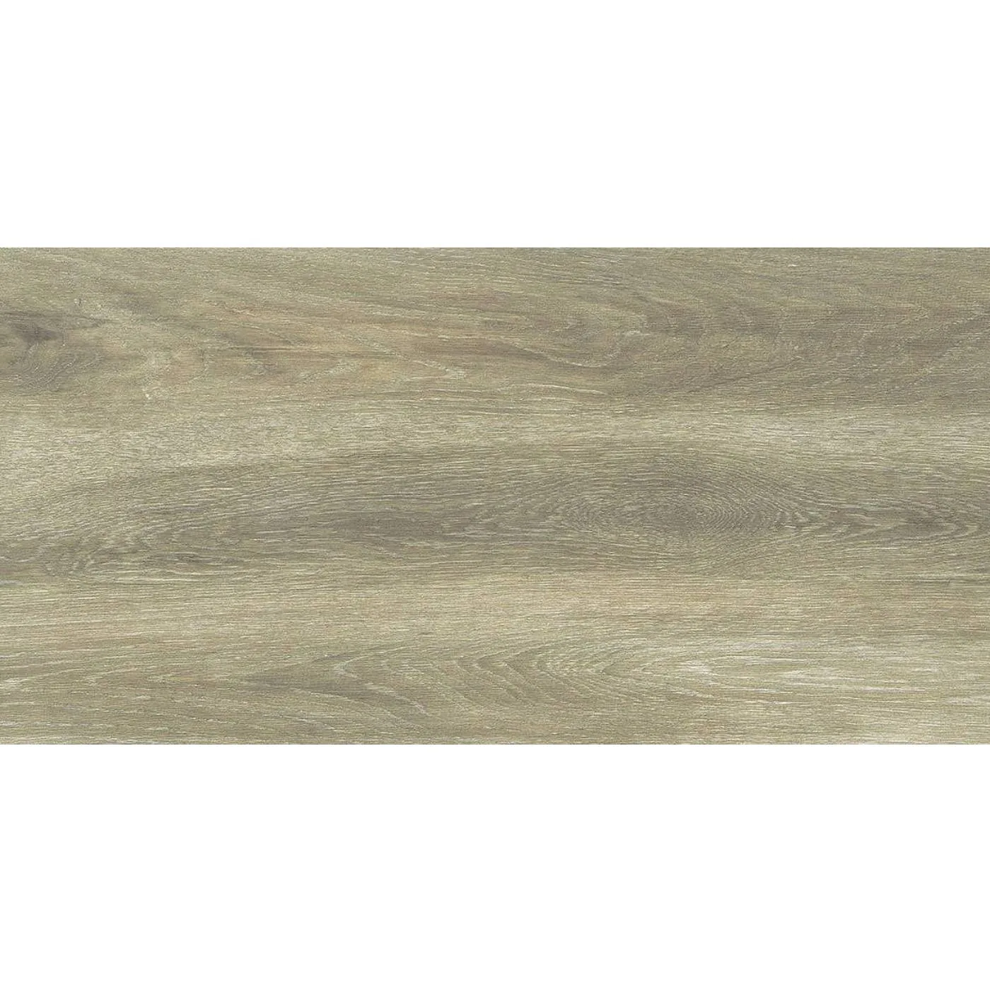 Forest Birch 30X60