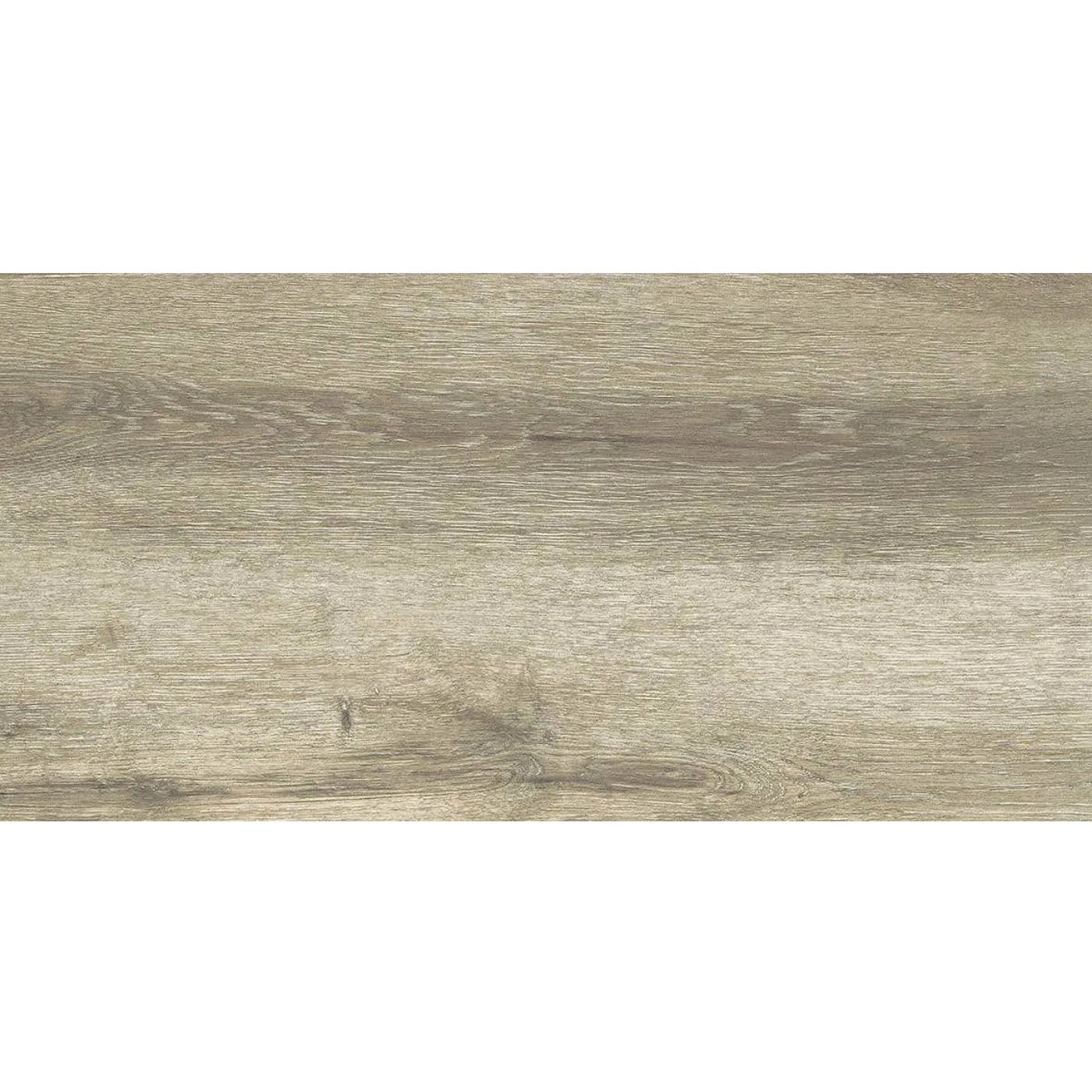 Forest Birch 30X60