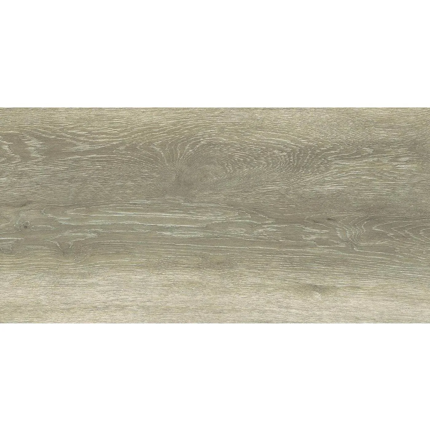Forest Birch 30X60