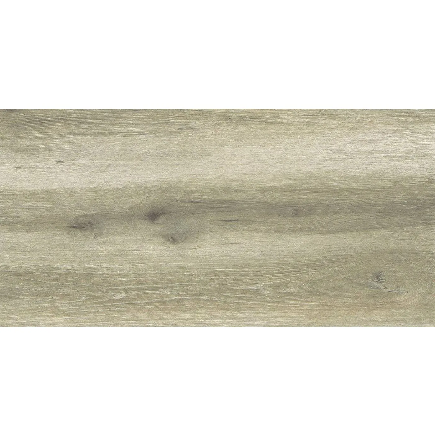 Forest Birch 30X60