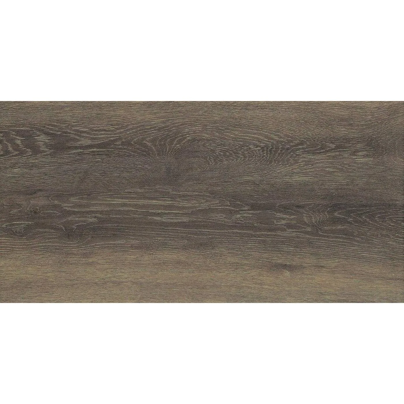 Forest Nut 30X60