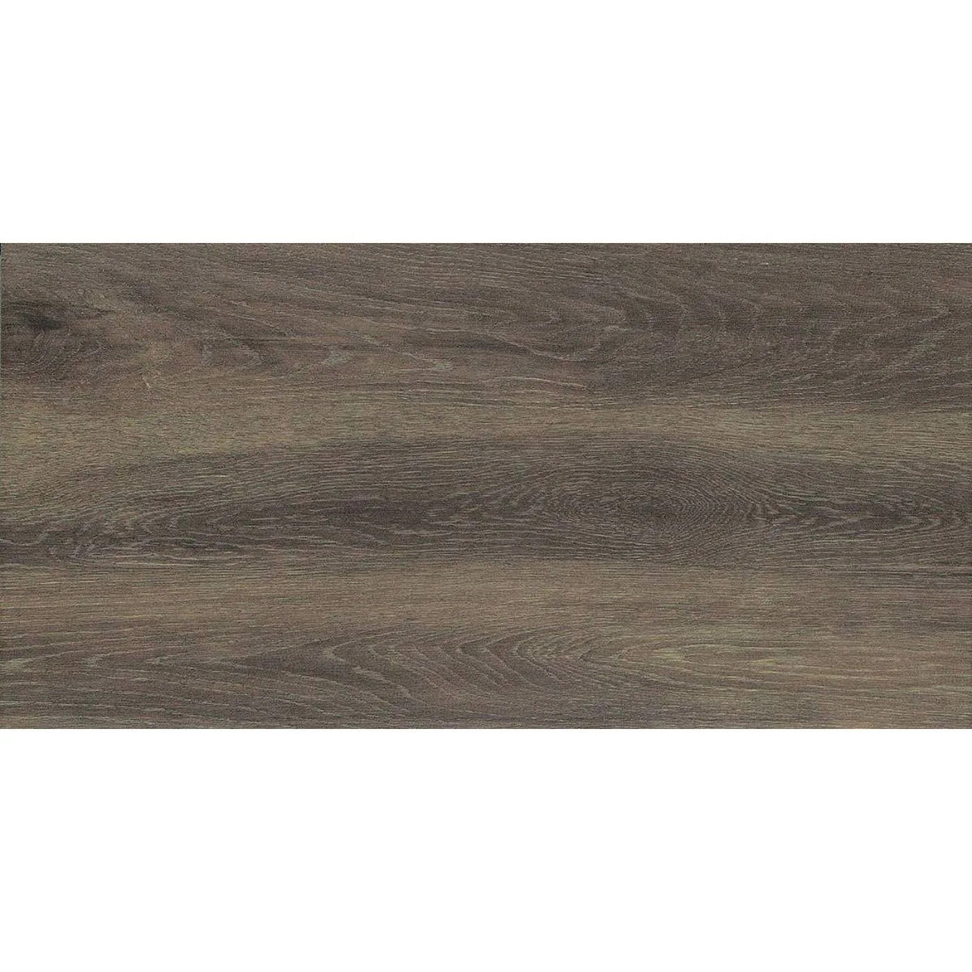 Forest Nut 30X60