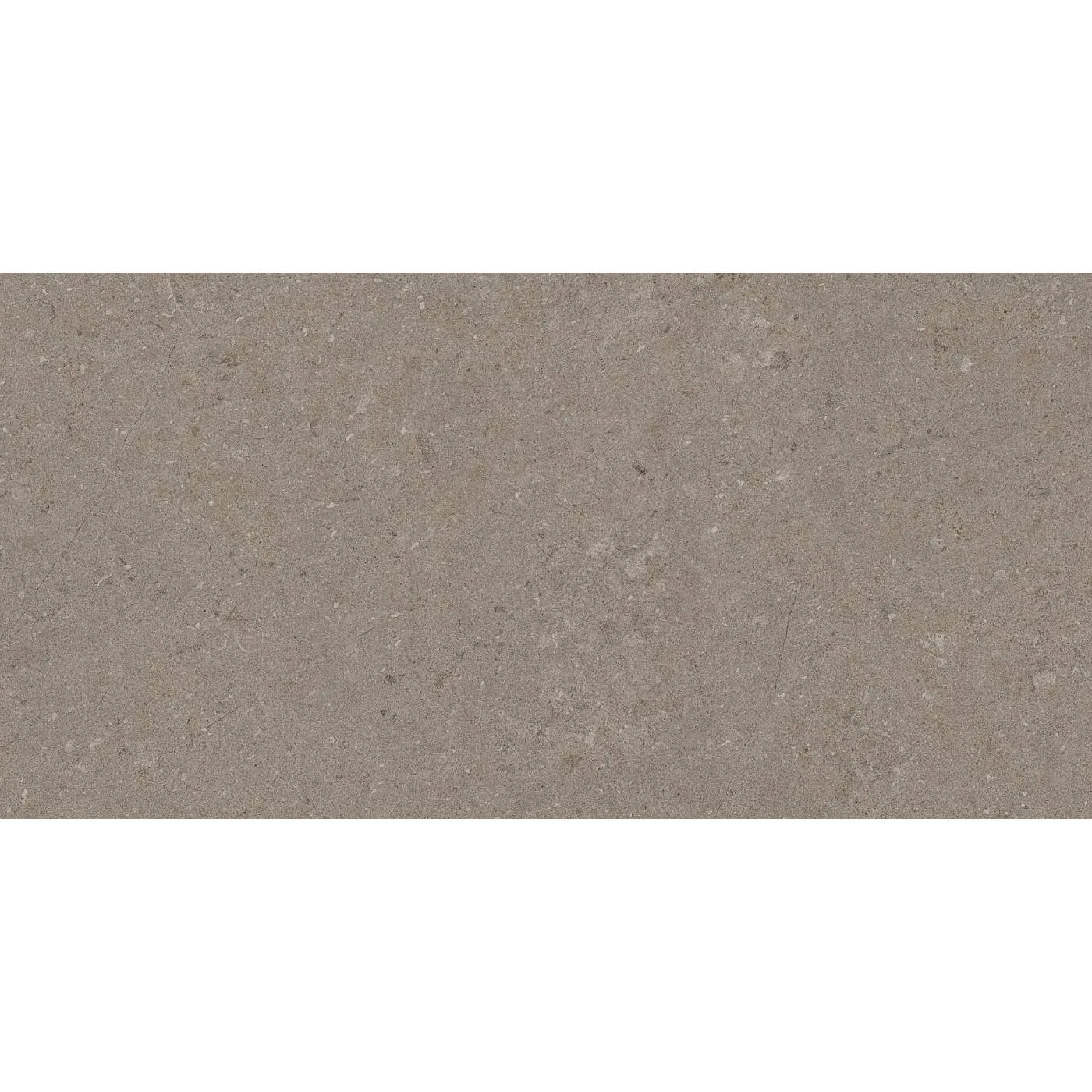 Natural Taupe 30X60