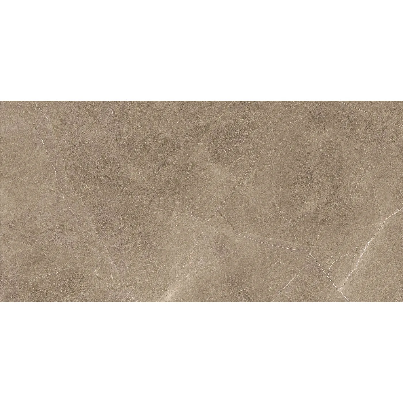 Elegant Taupe 30X60