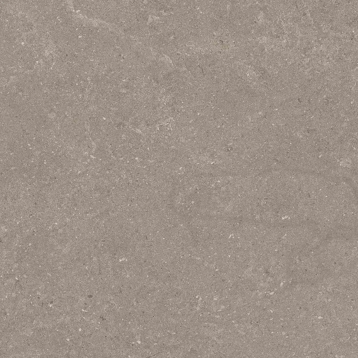 Natural Taupe 60X60