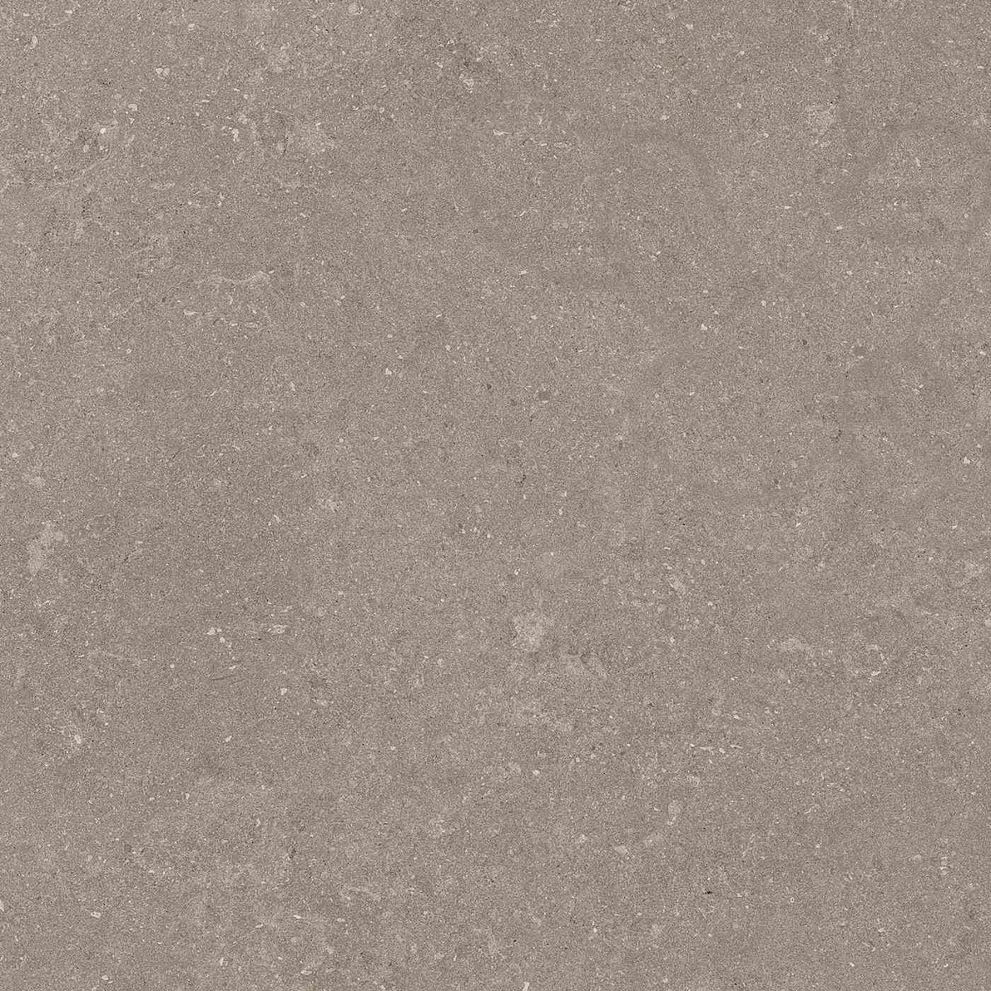 Natural Taupe 60X60