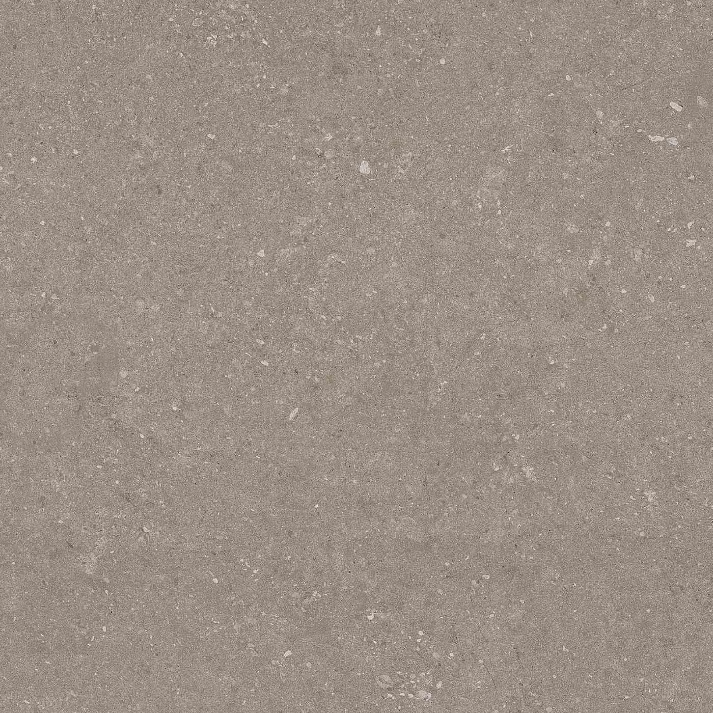 Natural Taupe 60X60