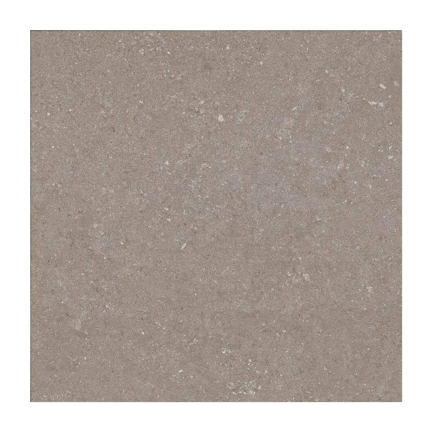 Natural Taupe 60X60