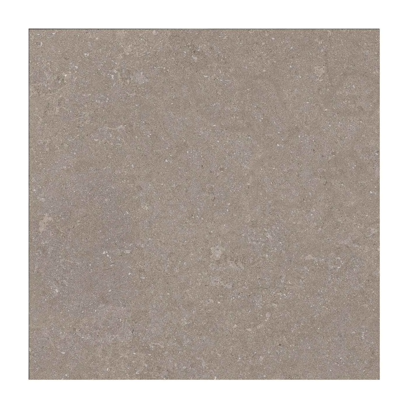 Natural Taupe 60X60