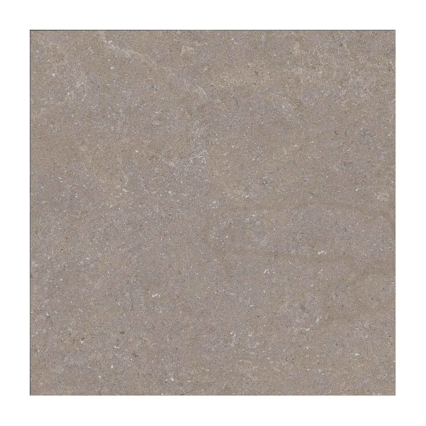 Natural Taupe 60X60