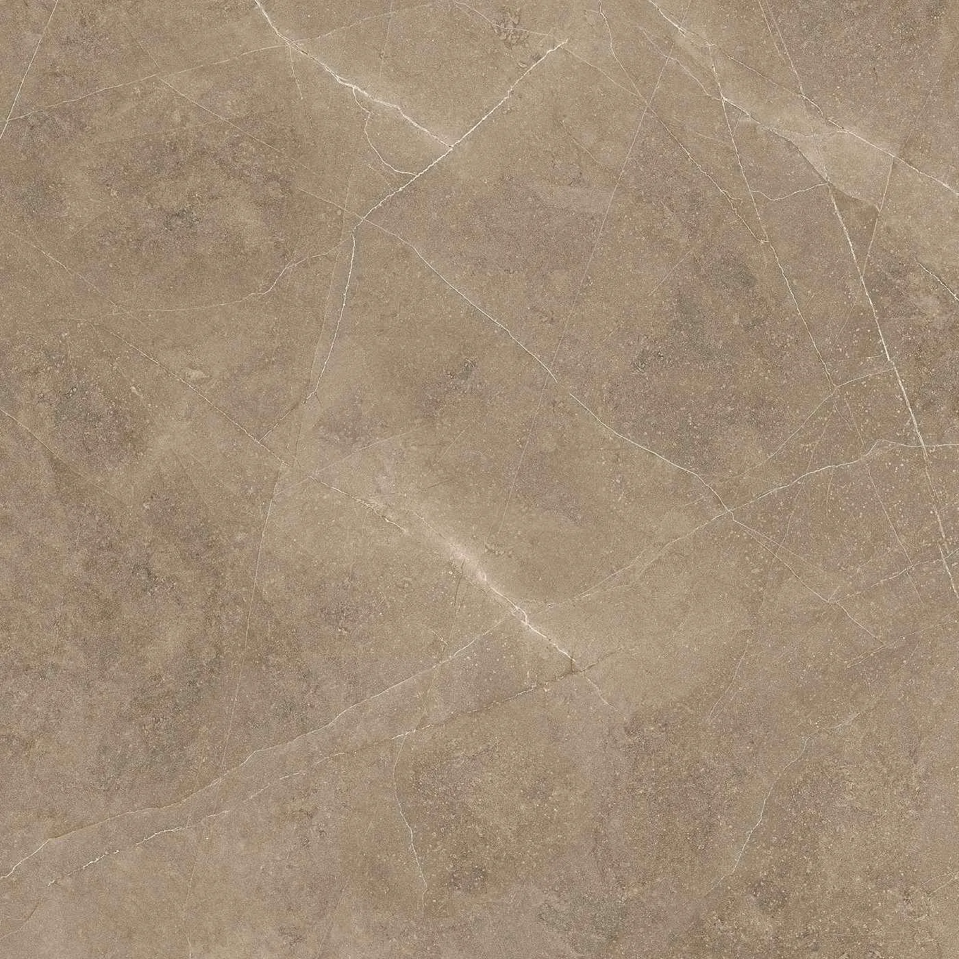 Elegant Taupe 60X60