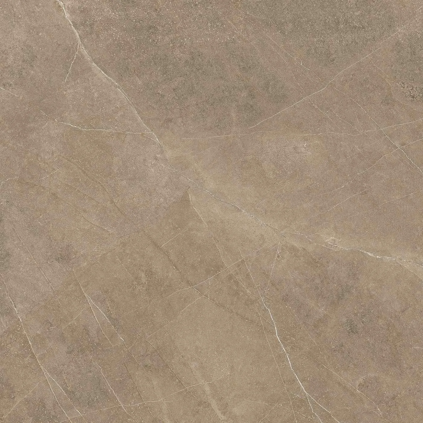 Elegant Taupe 60X60