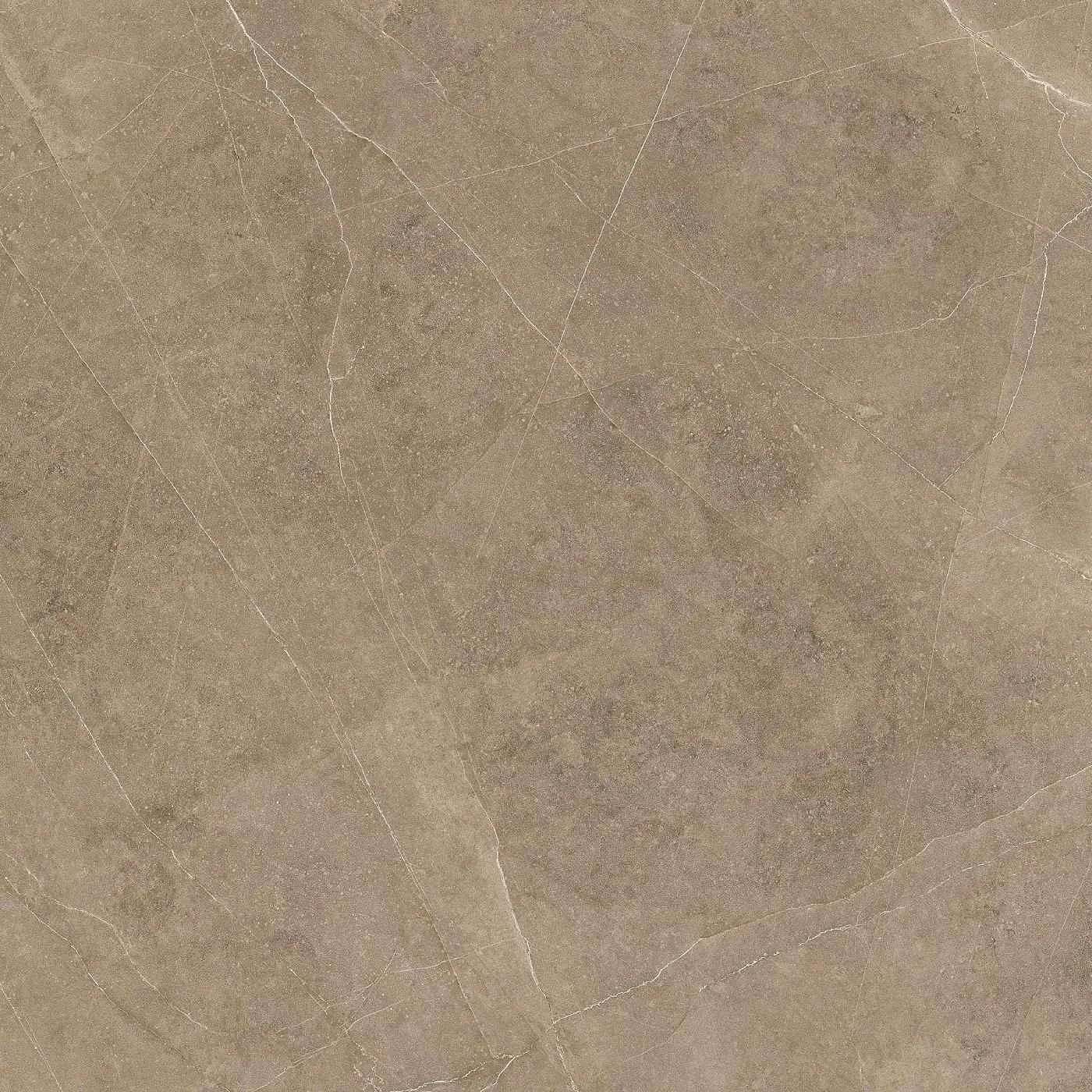 Elegant Taupe 60X60